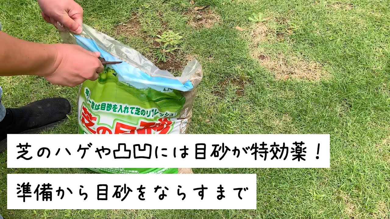 芝のハゲ！芝の凸凹！には目砂が特効薬！目砂を入れる準備から目砂を入れて均すまで