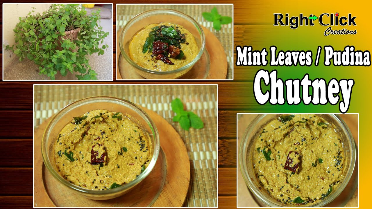 how to make mint leaves chutney | making of pudina chutney | mint leaves recipe | making of chutney