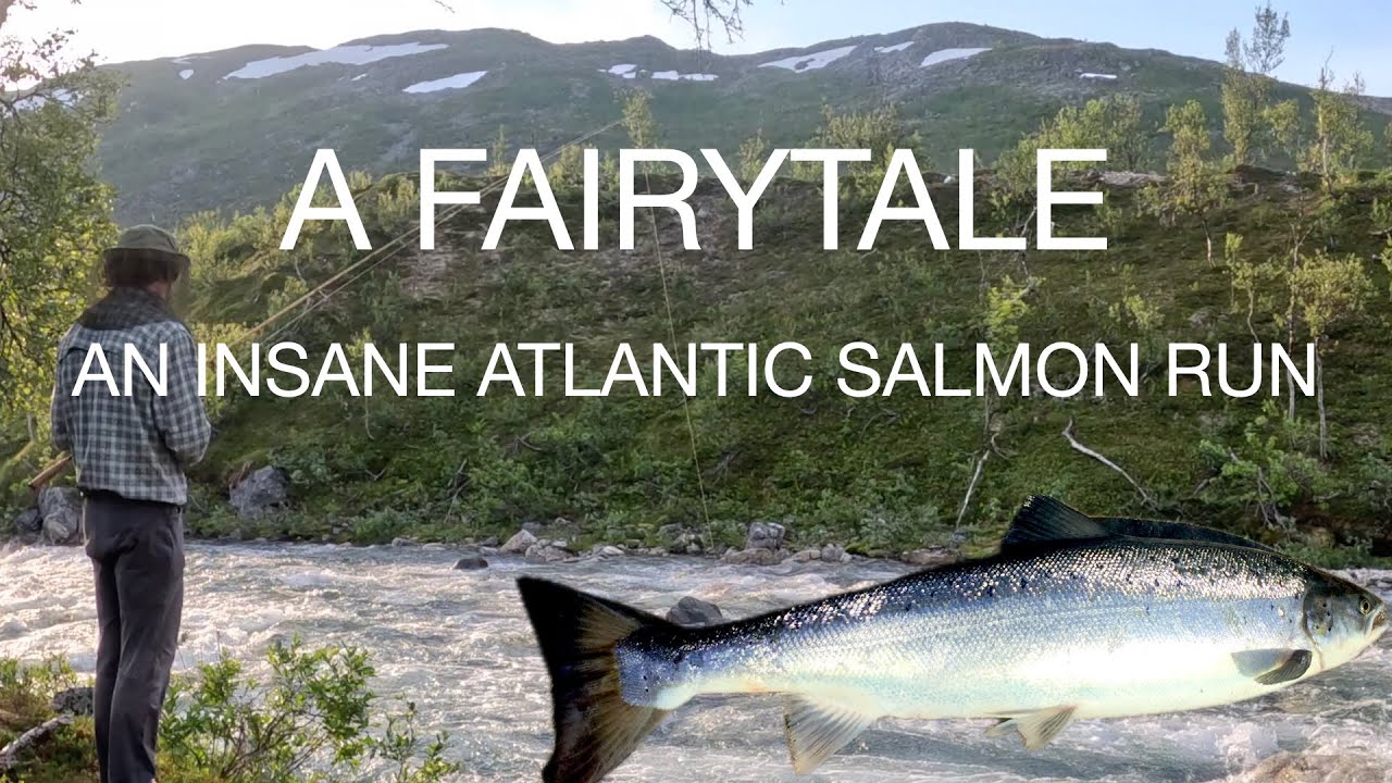 Nirvariver — An arctic salmon adventure in a crystal stream in Norway
