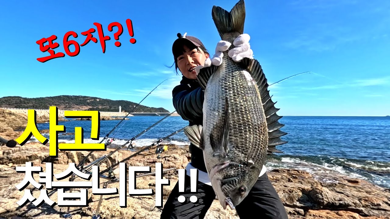 또 사고쳤습니다! 감성돔 대물이 이런곳에서 (겨울철 제철 생선회) #추자도 #fishing #낚시 #원투낚시 #낚시포인트
