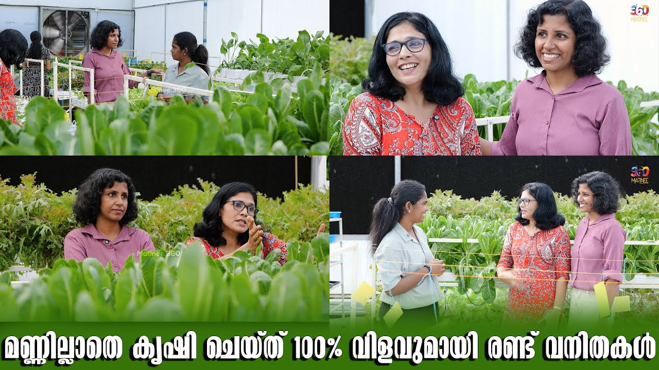 മണ്ണില്ലാതെ കൃഷി ചെയ്ത് 100% വിളവുമായി രണ്ട് വനിതകൾ | Two Women's Hydroponic Farming
