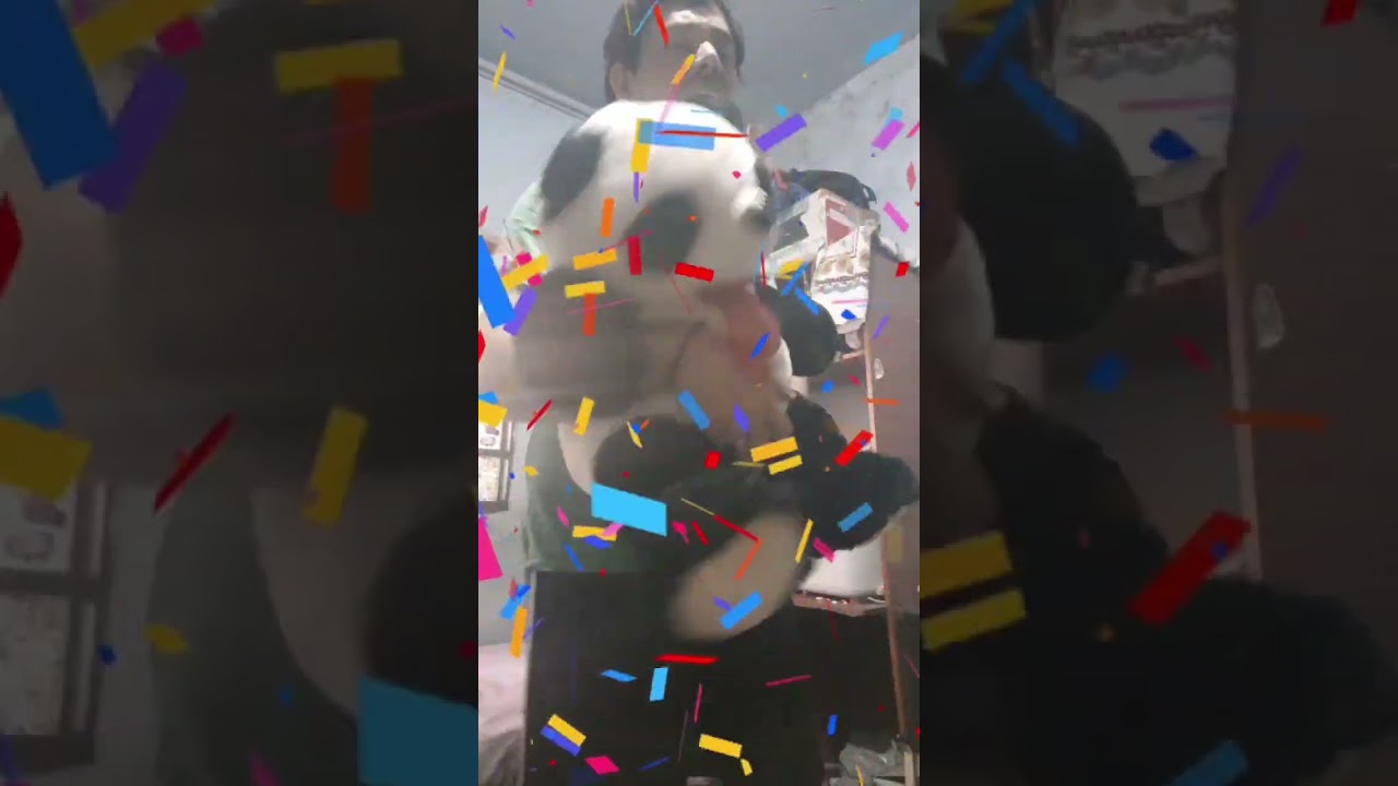 BOA TARDE PANDINHAS MINHA VERSÃO DA MÚSICA 