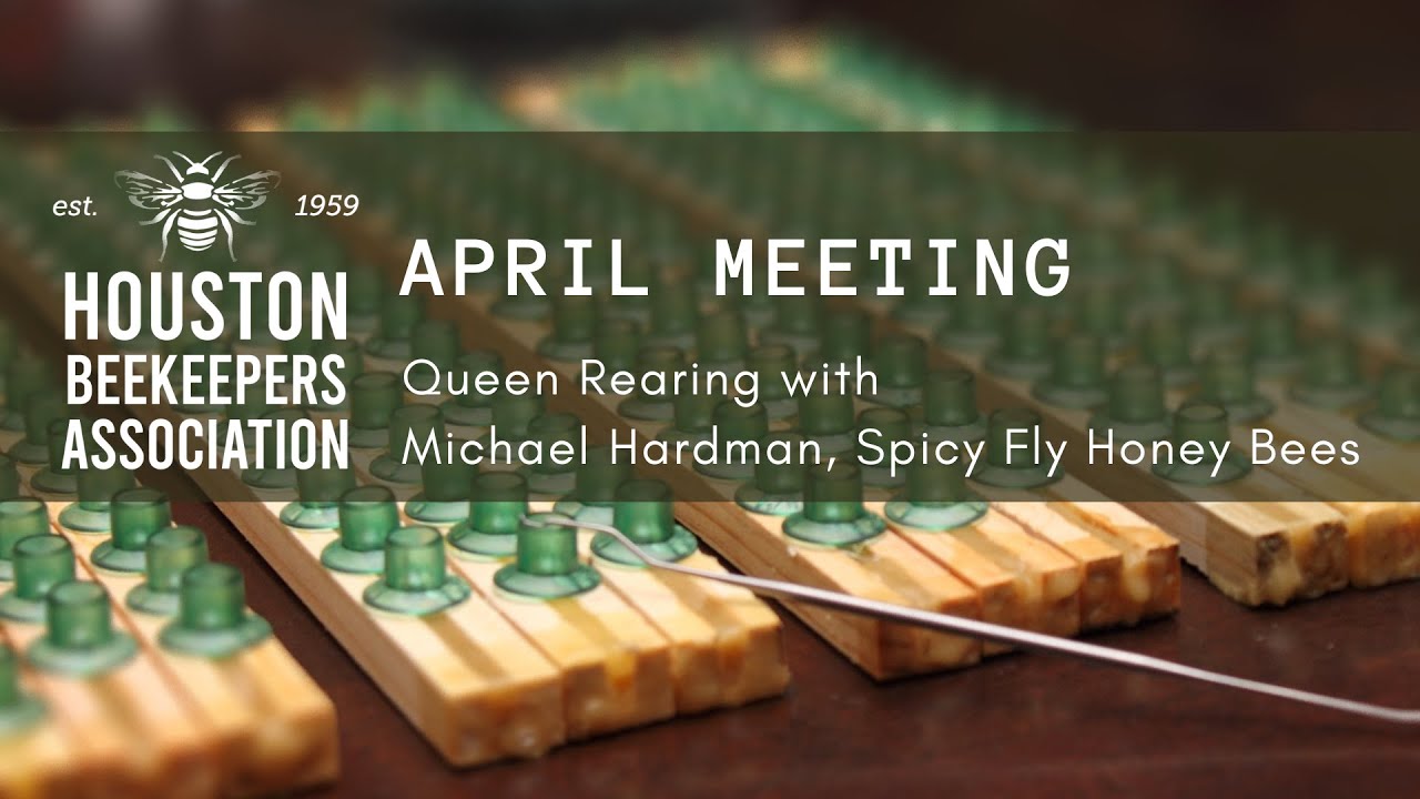 Houston Beekeepers Association | Queen Rearing with Michael Hardman