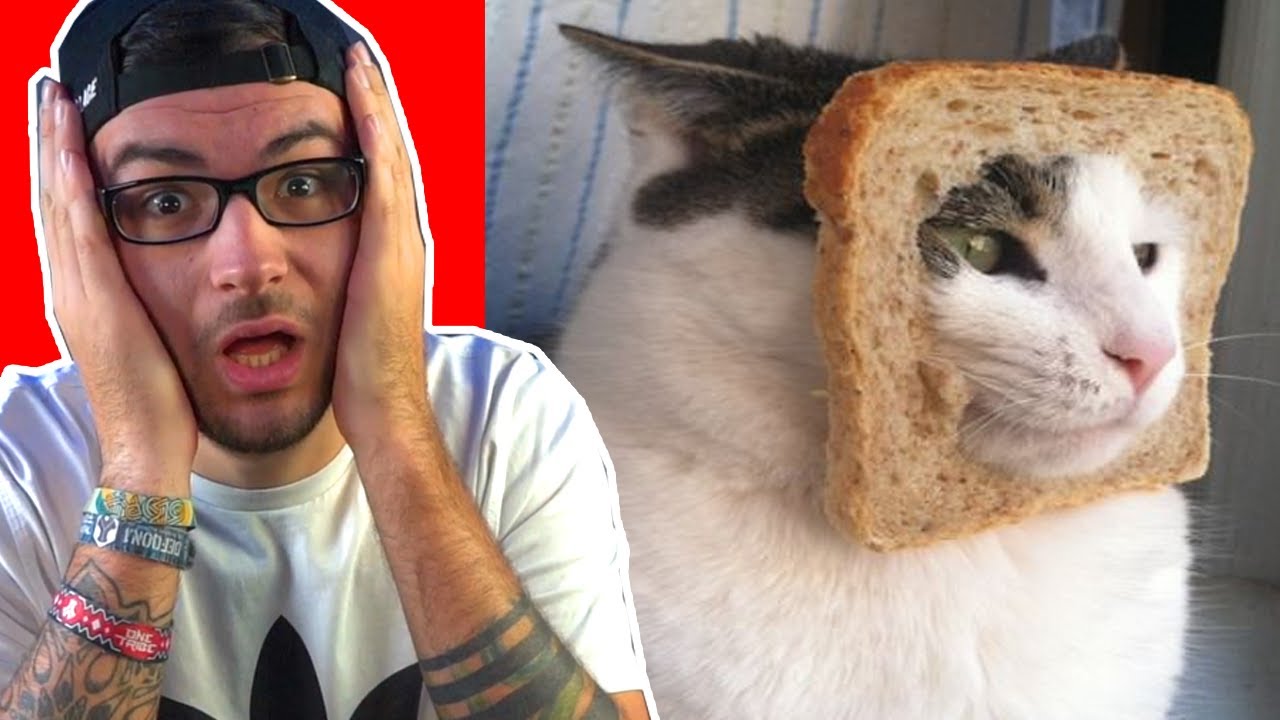 SINNLOSE DINGE IM INTERNET!