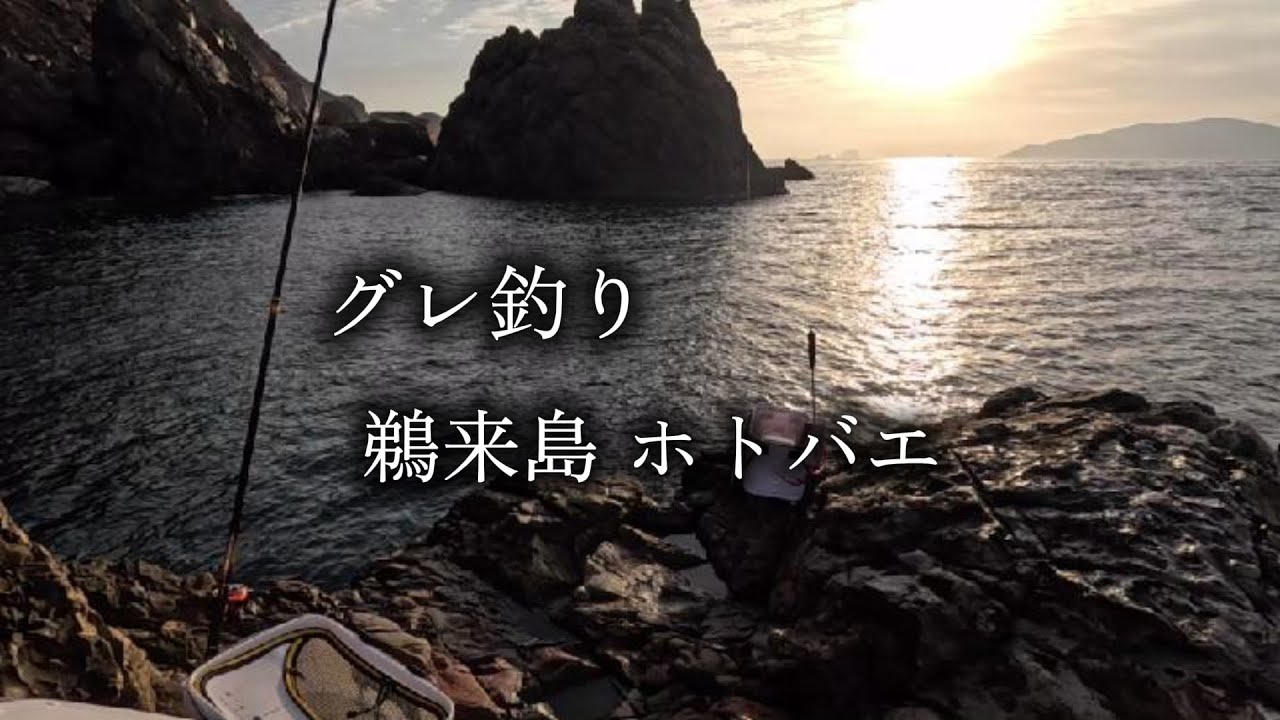 グレ釣り　鵜来島　ホトバエ