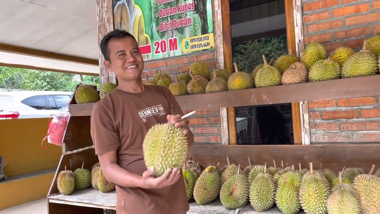 Lapak Bibit dan Buah Durian tanjung sari Mang Jauhaya Purwakarta