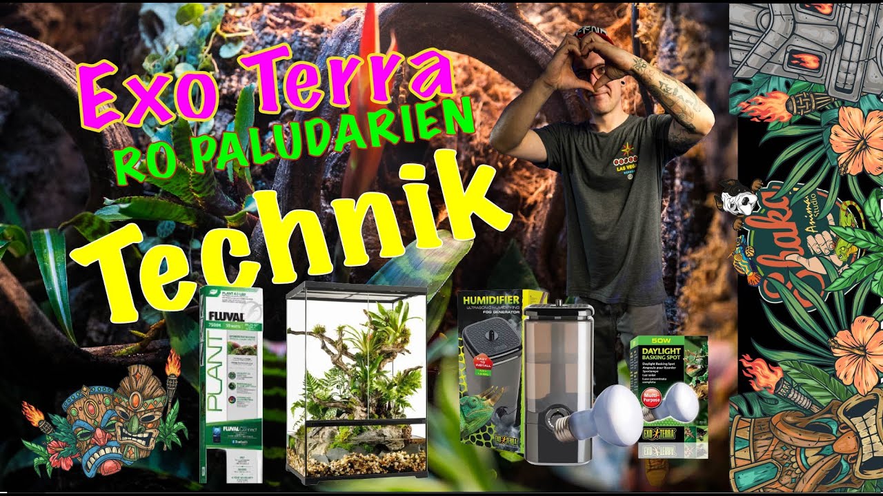 Exo Terra Pro Paludarien DIY Rückwandbau - RÜCKWAND Selber bauen  - Technik Teil 2