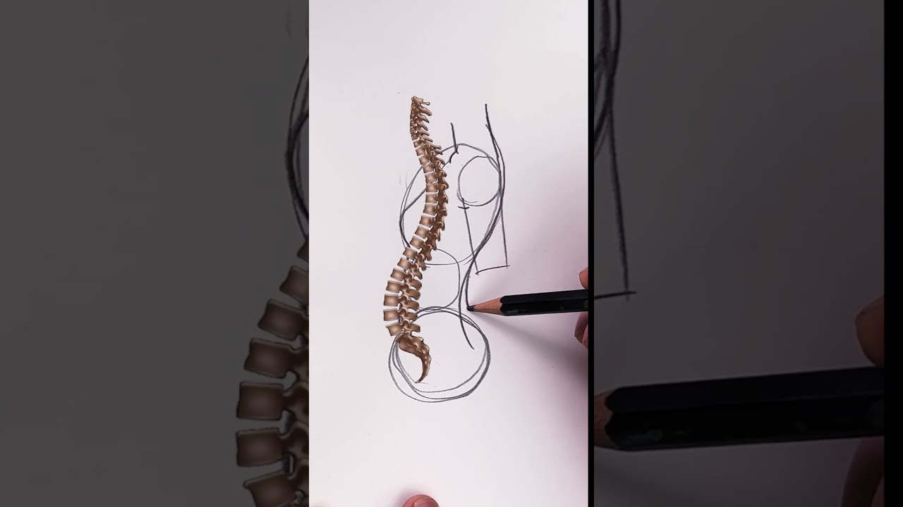 Drawing the Side View: What You Need to Know