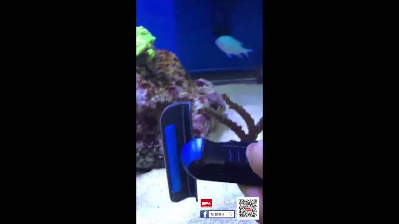 Tunze磁刷｜磁刷使用報告~連底砂都清得到喲！_旭豐SFA_