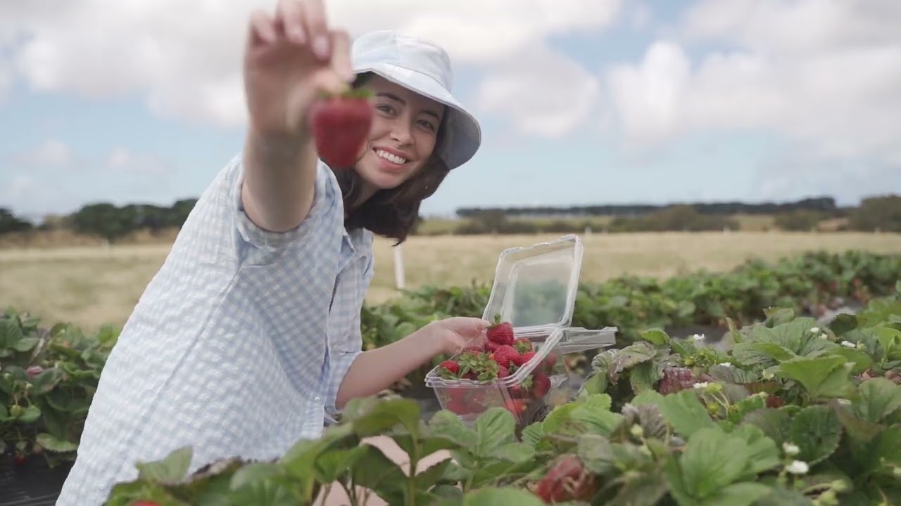 Surf Coast Strawberry Fields