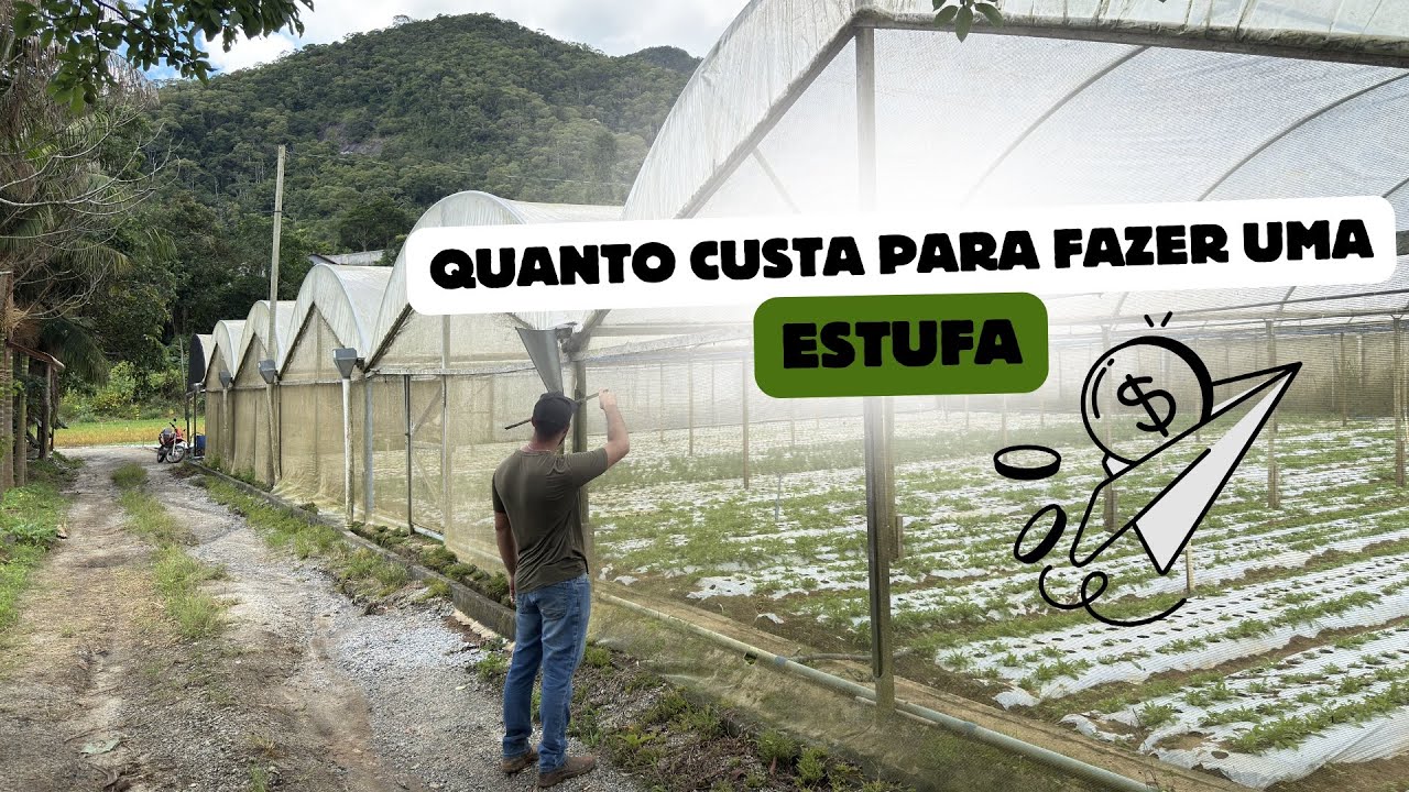 Vale a pena investir em estufa? Custos reais, telas, gotejo e automação (passo a passo)