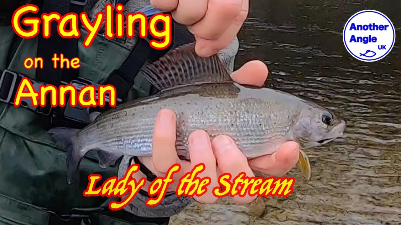 Trotting for Grayling using the Centrepin reel.  River Annan, Scotland : Lady of the Stream