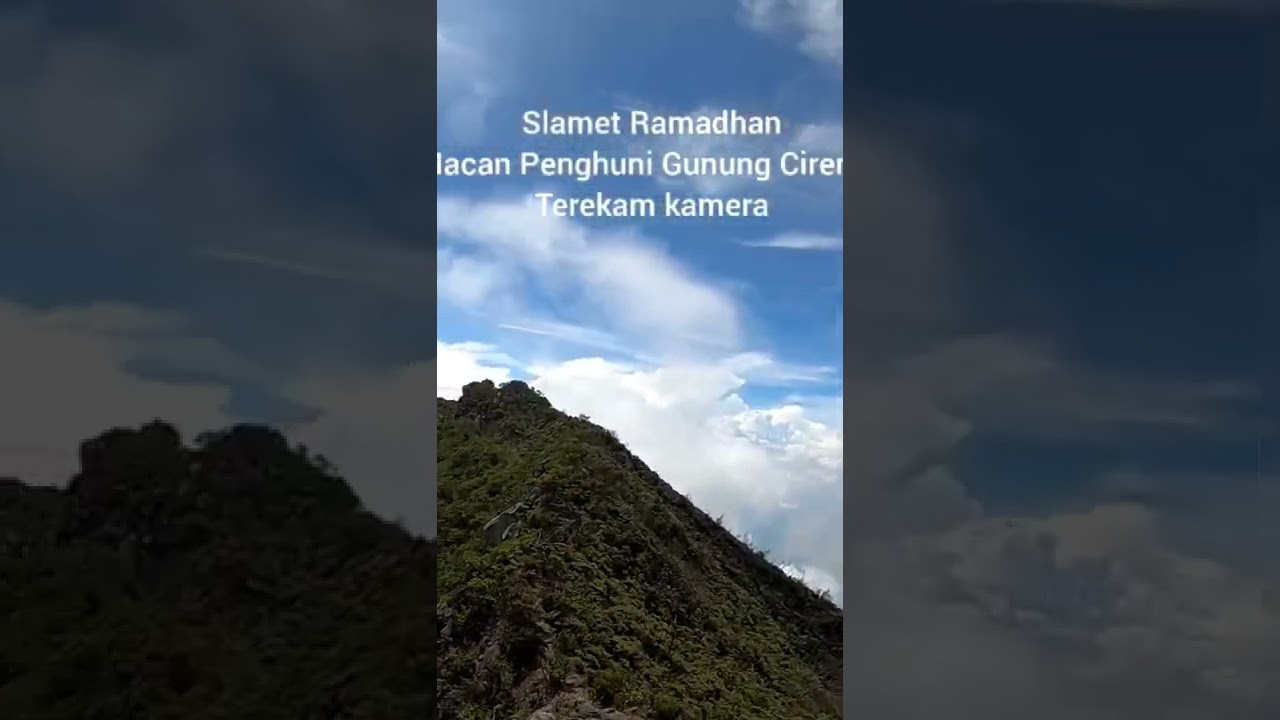MACAN PENGHUNI GUNUNG CIREMAI TEREKAM KAMERA DRONE.. 