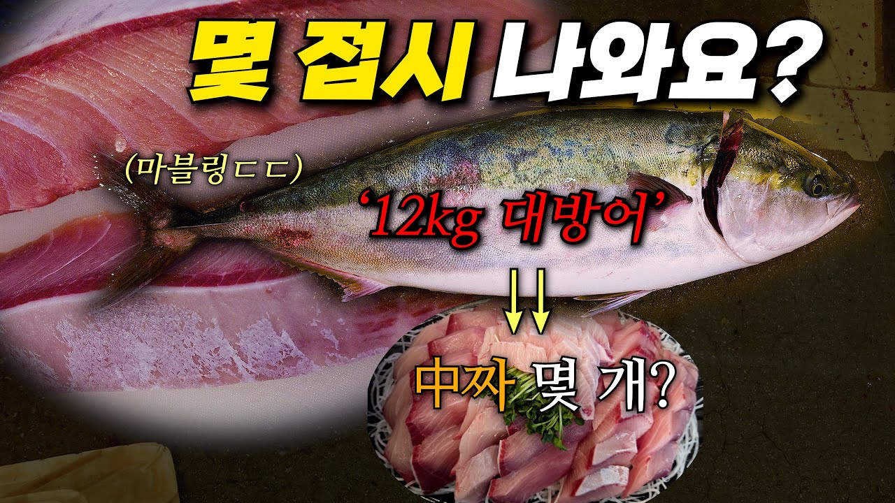 20만원도 안한 초대형 12kg 방어 한마리! 회접시로 몇접시 나올까?