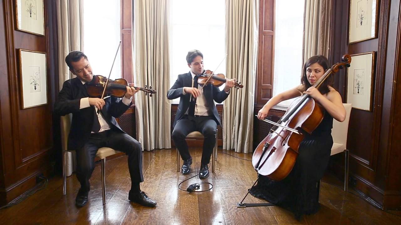 Christina Perri- Thousand Years ( string trio cover) Wellington Music