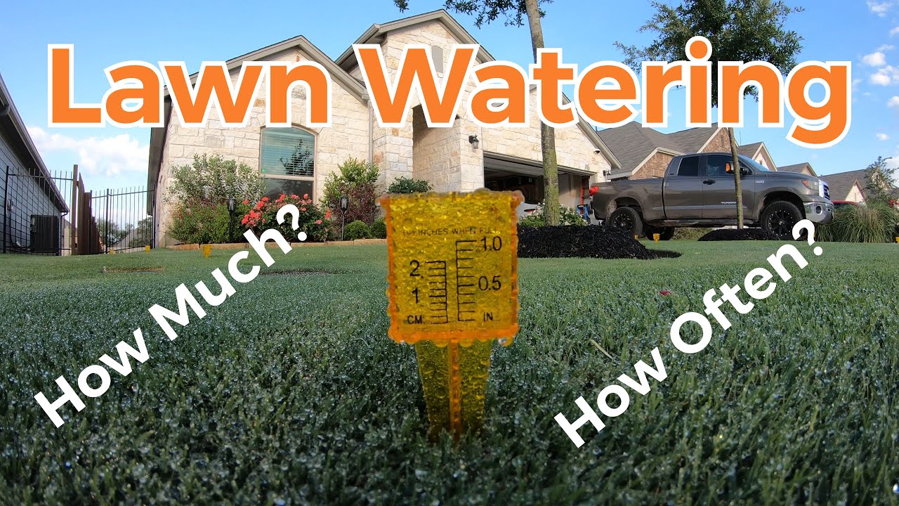 Best Lawn Watering Schedule & Lawn Watering Tips