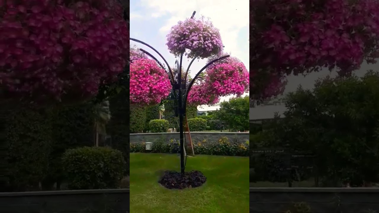 garden paradise #gardenparadise #citylandmall #bdvlogdubai