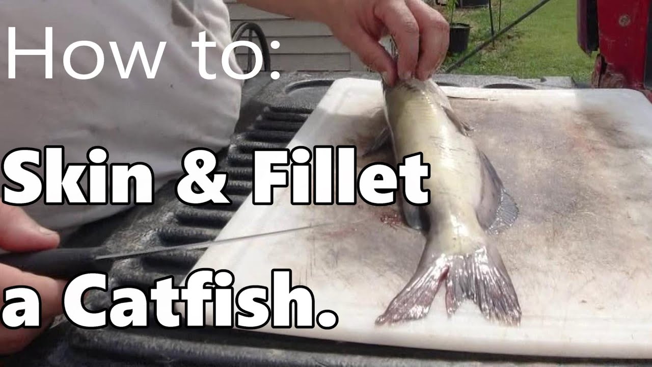 Tutorial: How to Skin and Fillet a Catfish.