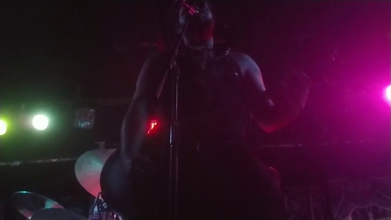 Pollock 031619 BugJar