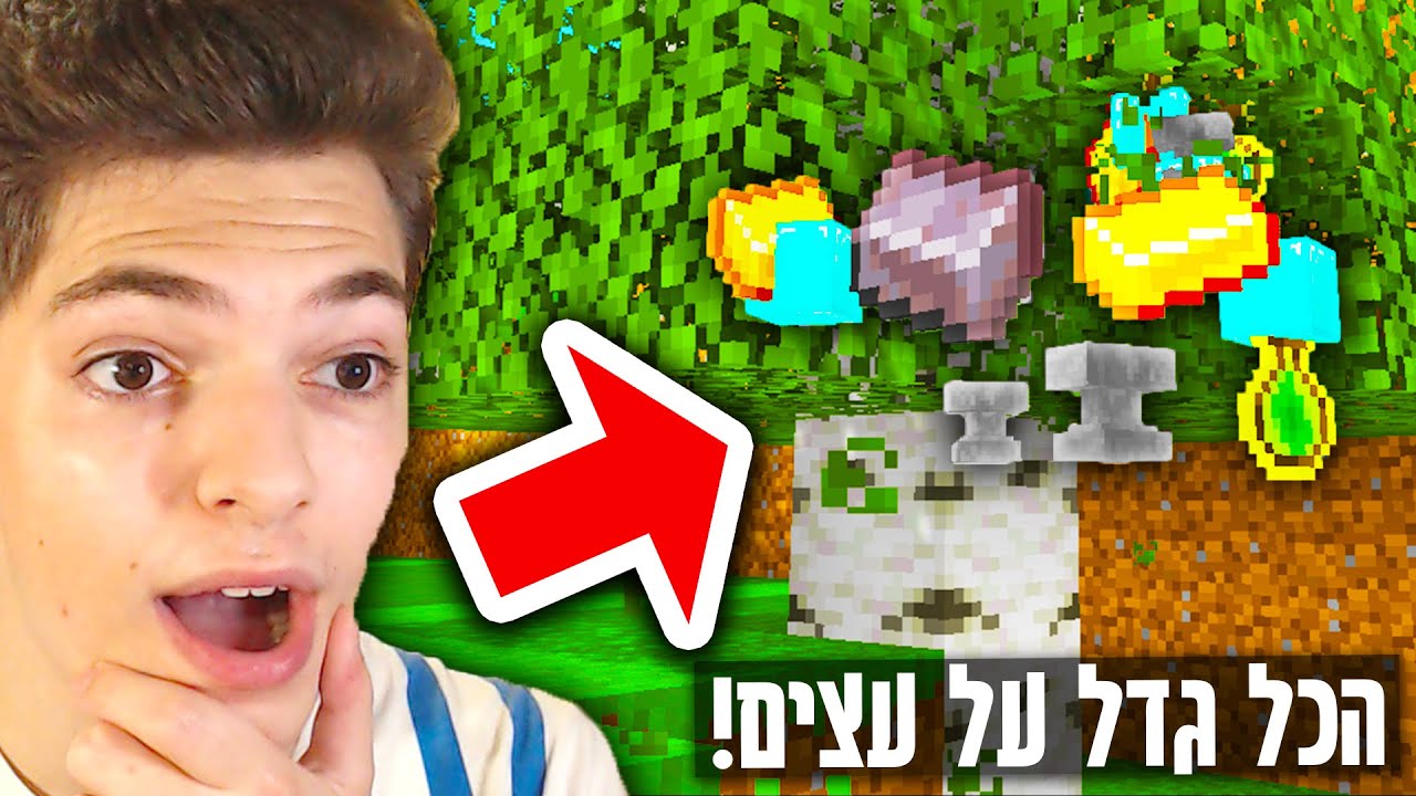 שיחקתי במיינקראפט אבל עצים מפילים חפצים מטורפים?! *השגתי סט נדרייט שלם!!*