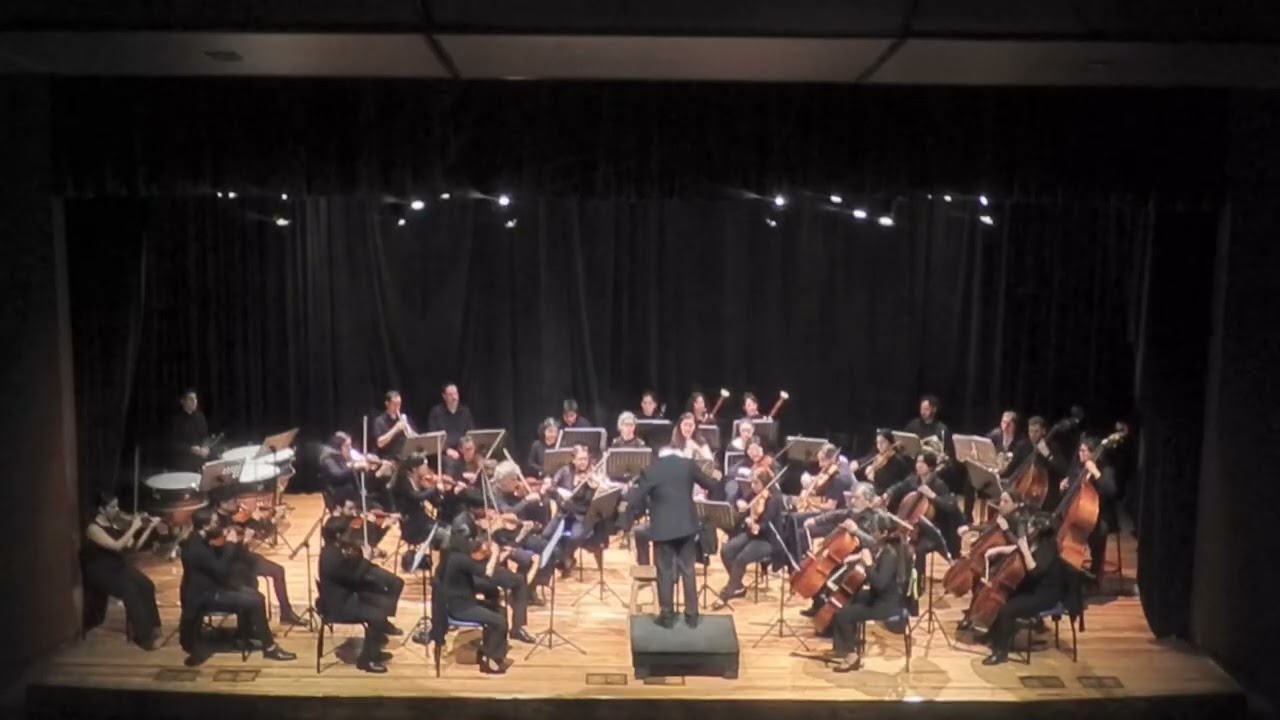 Sinfonía n° 1 en Re mayor - Primer movimiento (C. Gounod)