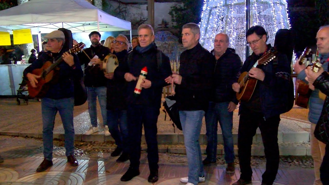 Actuación de la banda 