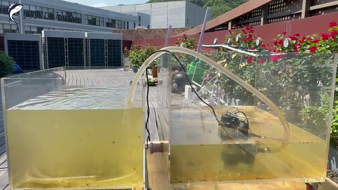 My Sump Pump SUCKS... Now It Doesn't! Upgrading to 5200 GPH Power. 😤