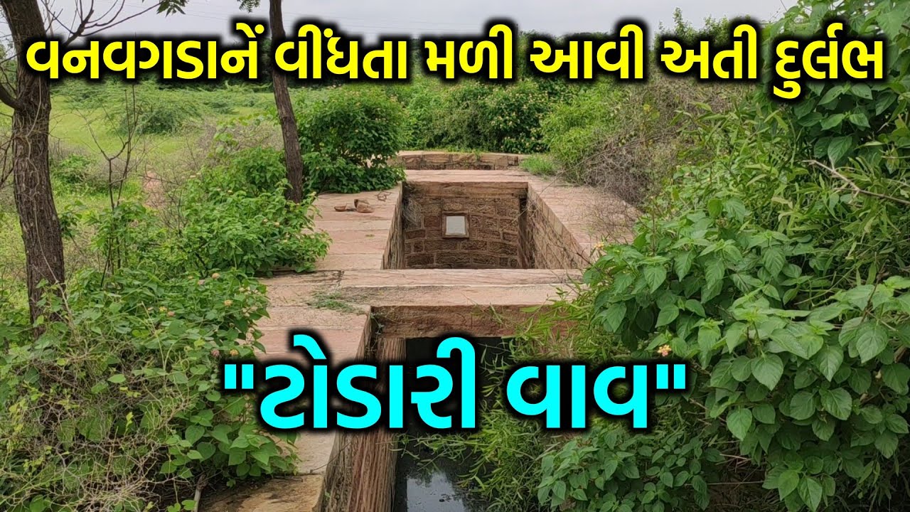 વનવગડાનેં વીંધતા મળી આવી અતી દુર્લભ ટોડારી વાવ