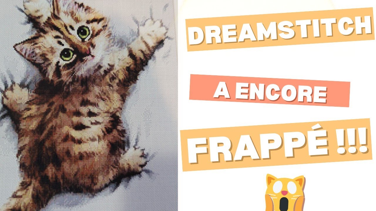 #dreamstitch #crossstitch #pointdecroix #broderie#countedcrossstitch #stampedcrossstitch#embroidery 