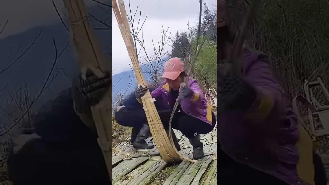 Bamboo fence making &ndash; handmade perfection! 🎋