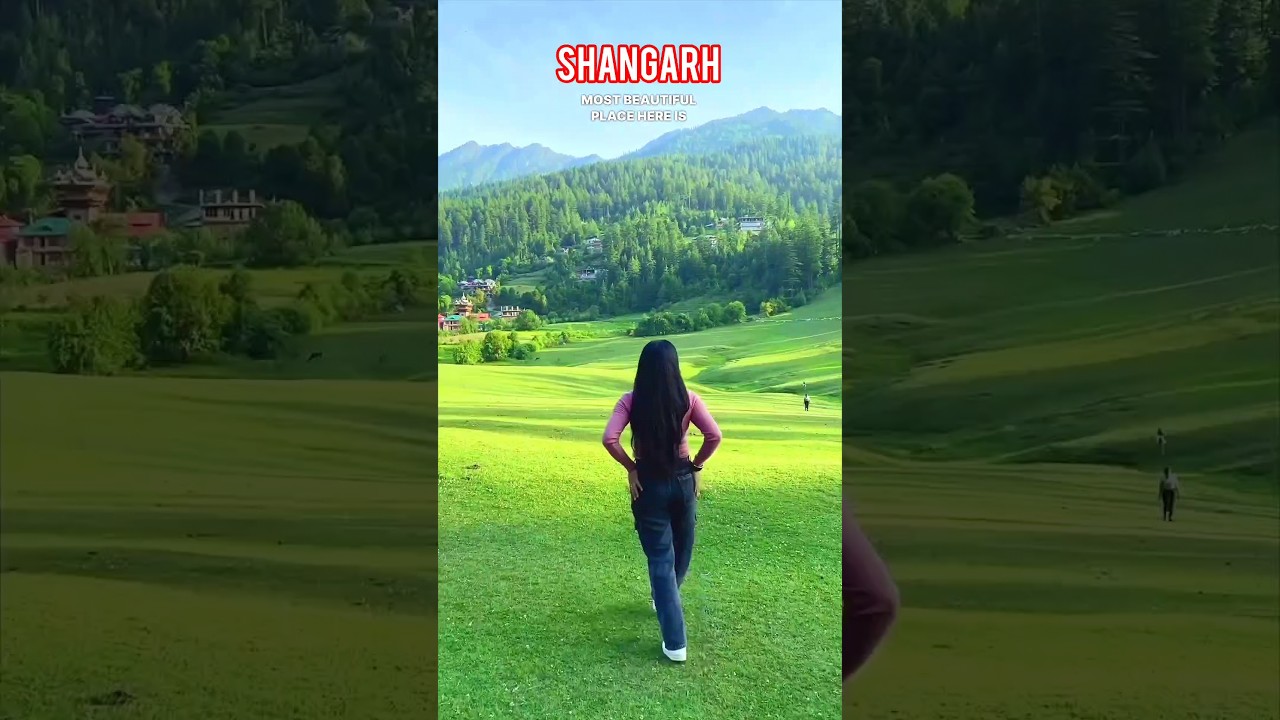 SHANGARH (Himachal Pradesh)⛰️ low budget or top route guide #shangarh #youtubeshorts #viral