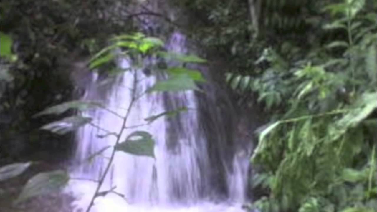 Chispazo Musical - Aura Martina Musica De Santiago Petatán.