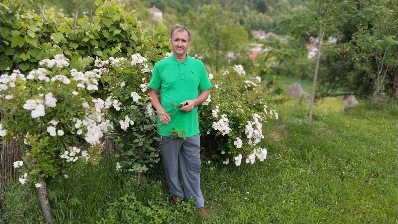 Šta god vam treba, kod mene ima!