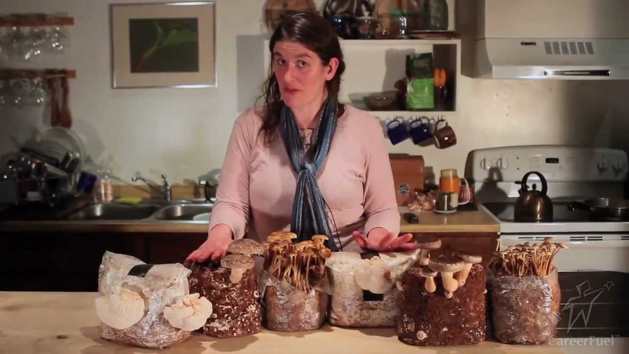 Small Biz Success Story: Mycoterra Organic Mushroom Farm