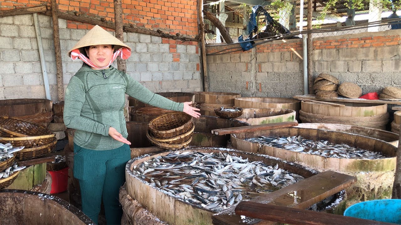 Cá Trích vào mùa nên rất là nhiều đây là quy trình phơi cá Trích bên nhà mình nha