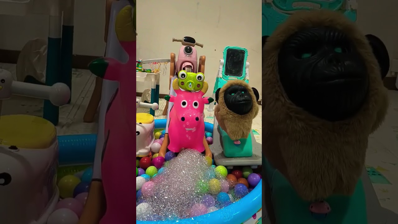 Bubble Pool, Keroppi & Gorilla