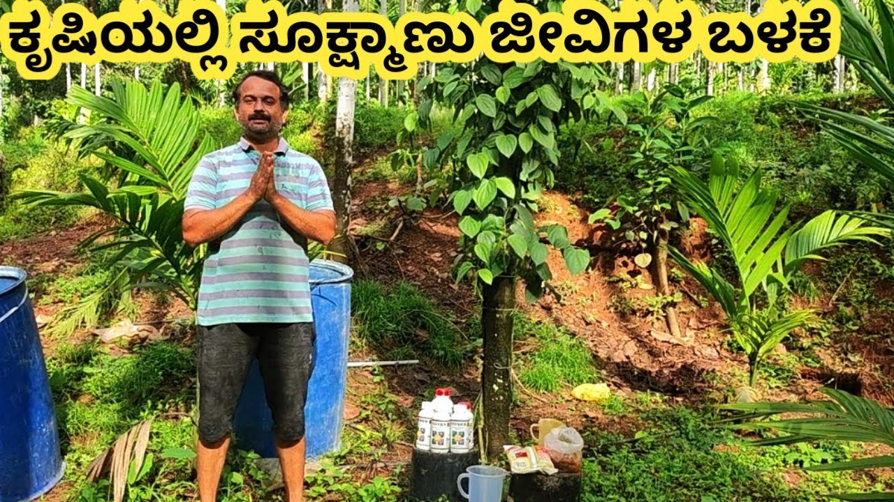 ಕೃಷಿಯಲ್ಲಿ ಸೂಕ್ಷ್ಮಾಣು ಜೀವಿಗಳನ್ನು ಬಳಸುವುದು ಹೇಗೆ??