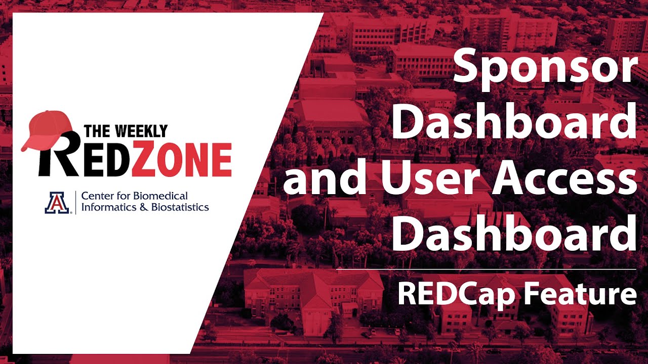 REDZone - Sponsor Dashboard and User Access Dashboard