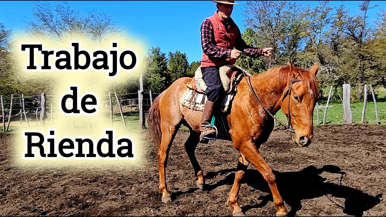 Rienda y Pierna: Técnicas clave para un control absoluto