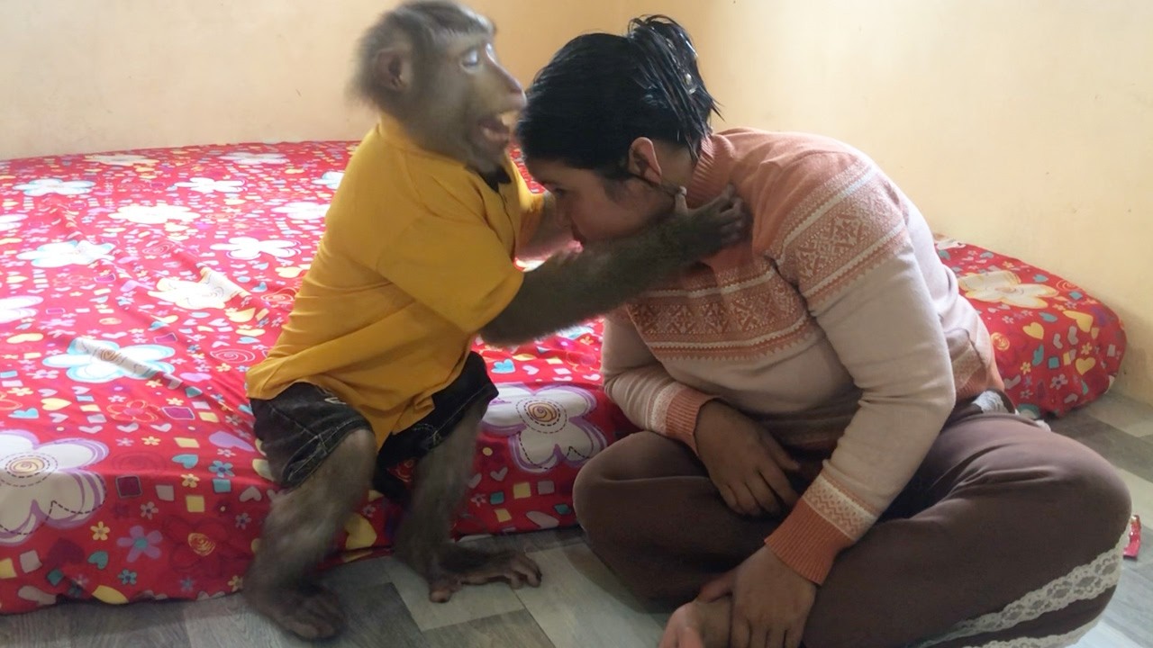 Handsome Prince Jason Intentionally Pull Hug Mom To Get Coconut