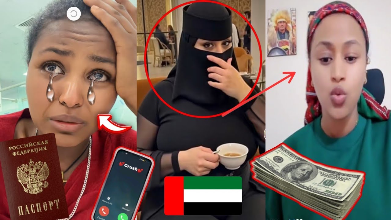 Makii Biftuu Dirqama Mana Madami Senate Hojachu Qabda Jate Live Irraati Biftuu Hojii Takka Male Jira