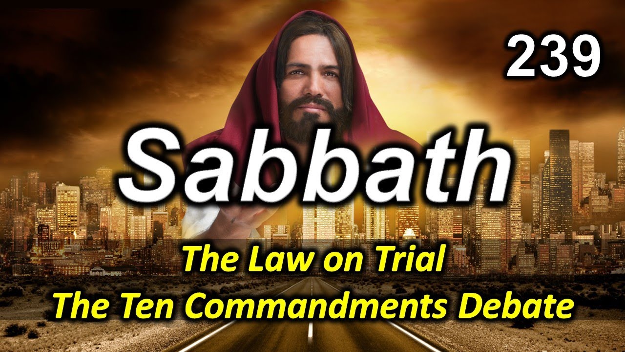 239 The Law on Trial in Society