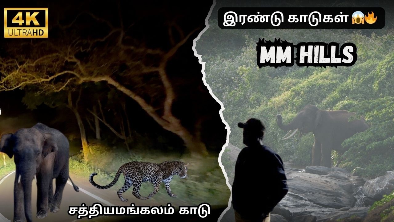 🔥MM Hills 