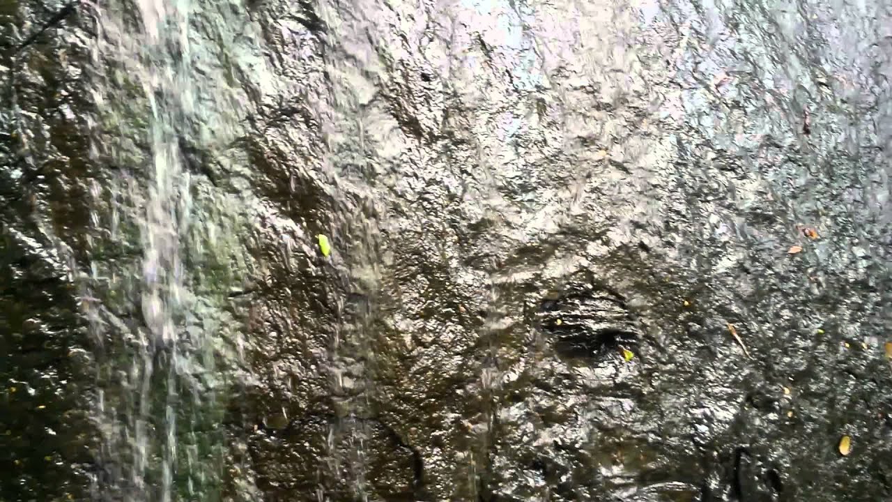 Cascada la coca el yunque pr