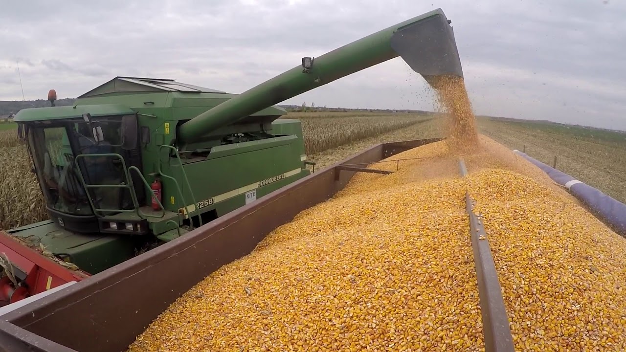 Kukorica aratás - Corn harvest 2017 [GOPRO]