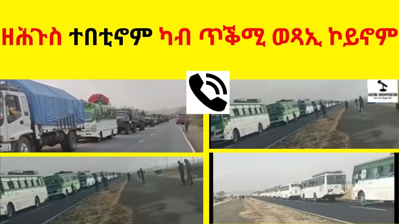 ዘሕጉስ ተበቲኖም ካብ ጥቕሚ ወጻኢ ኮይኖም  //  ኣብ ትግራይ ዘሎ ንብረት ባንዳታት ክውረስ  //  ፋኖንን ሸዓቢይን ናብ ትግራይ