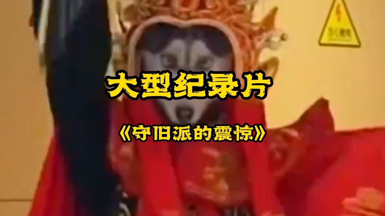 大型纪录片《守旧派的震惊》