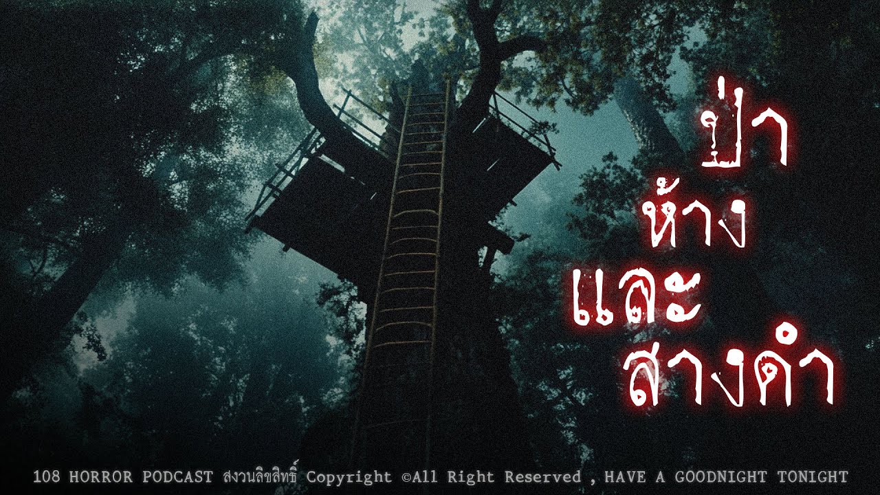 ป่า ห้าง และสางดำ (จังหวัดเชียงใหม่) | 108 เรื่องหลอน PODCAST EP.833