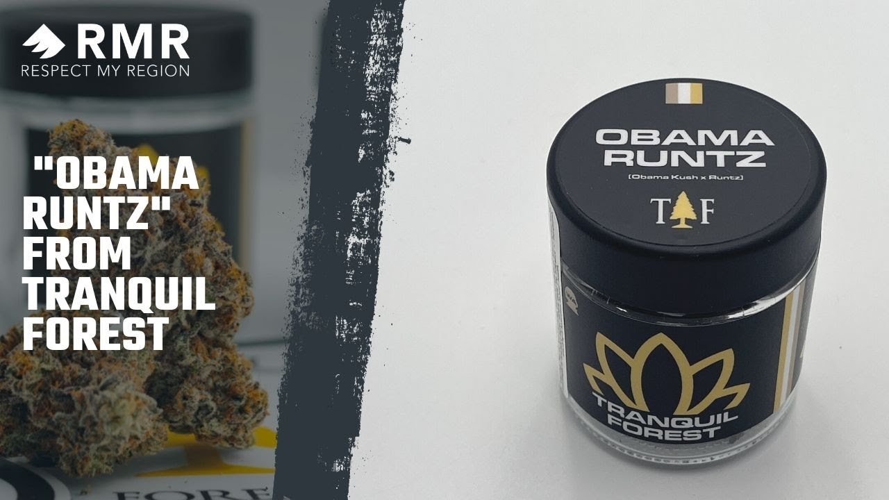 Obama Runtz Strain From Tranquil Forest In Washington State