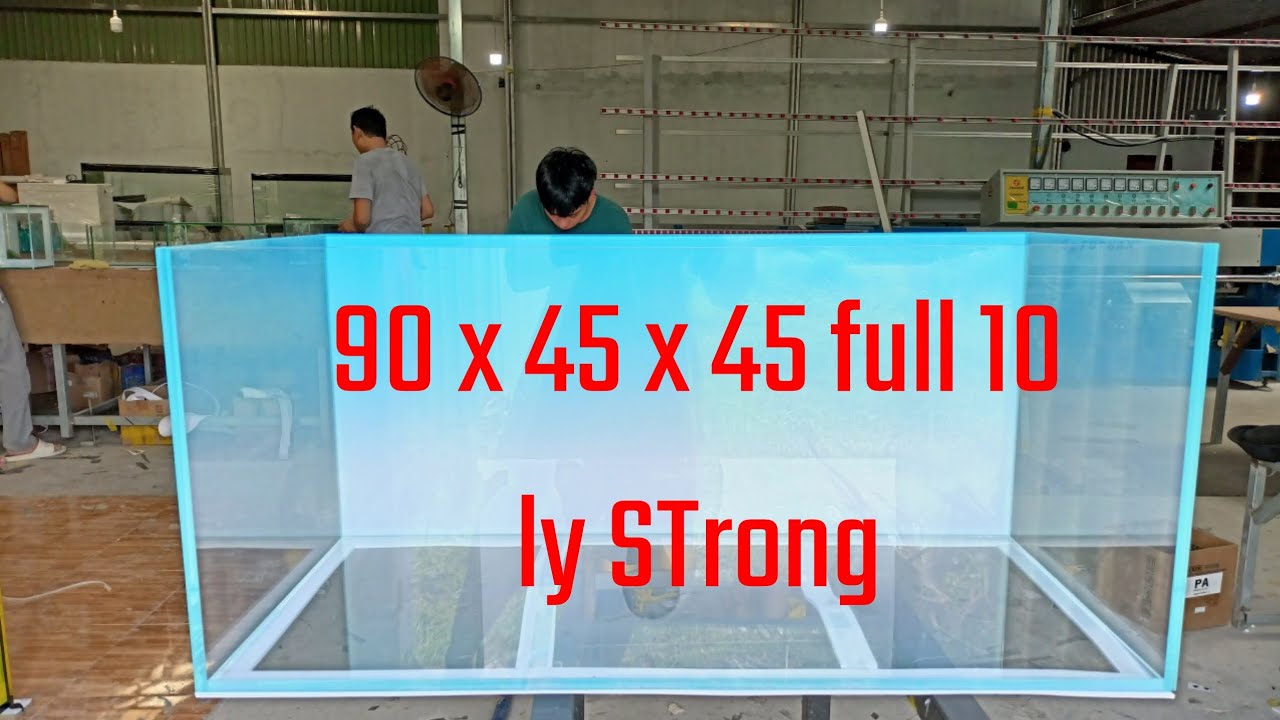 Hồ Cá Siêu Trong Giá Cực Tốt Cho Dịp Cuối Năm